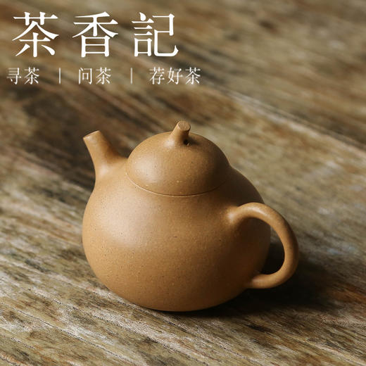 茶香记 好壶气 本山段小茄瓜紫砂壶 花货 骨肉亭匀 段泥 茶壶 茶具 商品图1