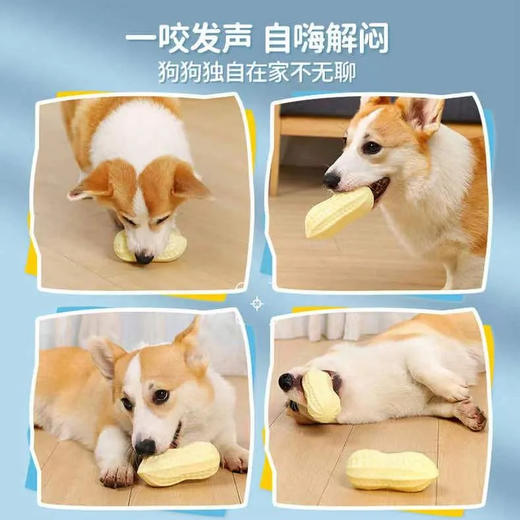 狗狗玩具发声花生解闷神器耐咬磨牙柯基泰迪宠物用品/1个 商品图4