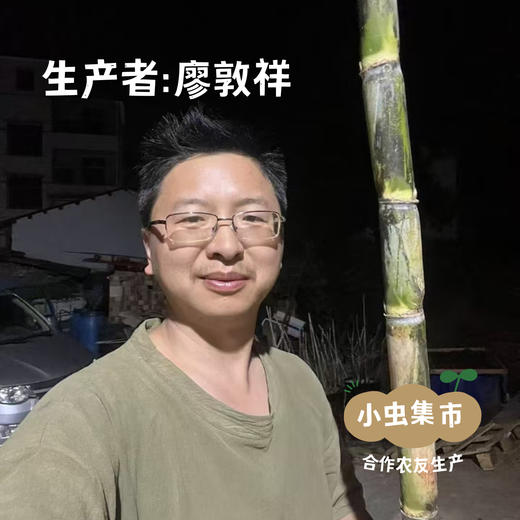 露天生态蔬菜（红菜苔/西兰苔/白菜苔/白花菜） | 合作农友生产，来自湖南邵阳，生产者：廖敦祥 *【公平贸易农人定价】 商品图3