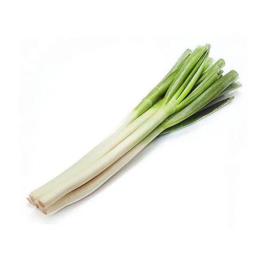 A鲜大葱 （450±30g）份 商品图0