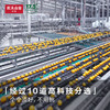 【2024上新】农夫山泉17.5°赣南鲜橙钻石果5kg江西新鲜采摘水果橙子彩箱送礼 商品缩略图3