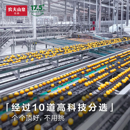 【2024上新】农夫山泉17.5°赣南鲜橙钻石果5kg江西新鲜采摘水果橙子彩箱送礼 商品图3