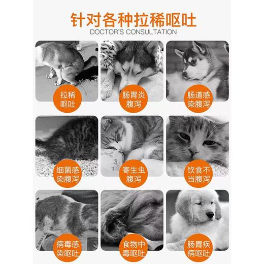 普安特 维利克 犬猫止泻 肠胃调理专用（顺丰发货） 商品图2