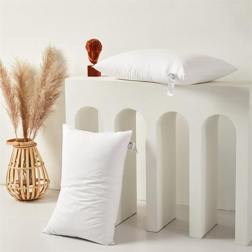 三泰龙 全棉五星级酒店枕头芯（ 一只枕芯+一只纯棉枕套） 商品图3