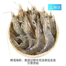 A活海虾（500±20g）