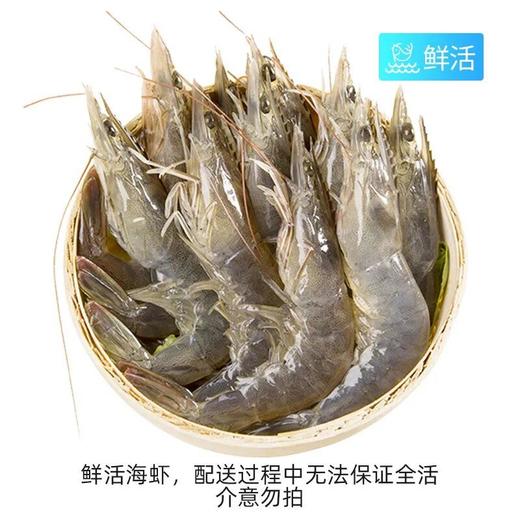 A活海虾（500±20g） 商品图0