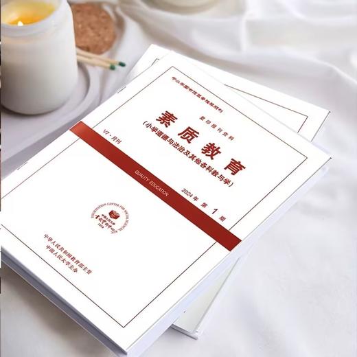 2025年人大复印报刊资料基础教育系列刊，一年共12期 商品图9