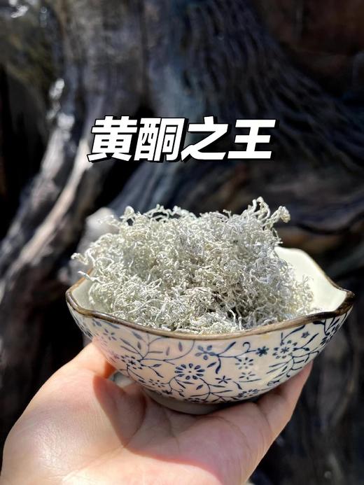 来凤藤茶|藤茶创始人向班贵非遗凤鸣藤茶；黄酮含量高，男人的肾宝茶，女人的美容院，富含黄酮、硒、氨基酸，不含茶碱和咖啡因，可以隔夜喝，特别适合中老年，三高人群，经常喝酒应酬，免疫力低下的人群~ 商品图2