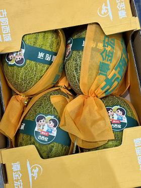 古西蜜瓜（一箱4个装/13斤）