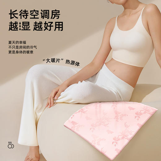 元气达人 女贞子艾绒坐垫 桃花灸 商品图1