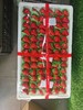 丹东 99草莓  整板【甜】大板 商品缩略图1