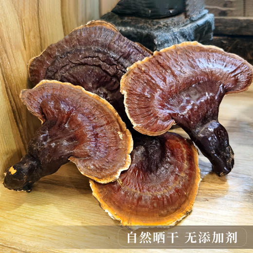 【西藏野生灵芝】西藏灵芝波密地区野生灵芝100g 商品图3