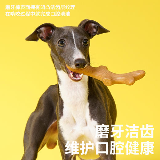 zeze洁齿棒玩具-B （包邮） 商品图3