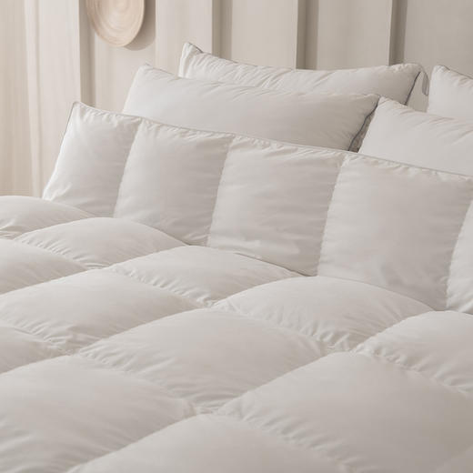 冬季保暖舒适 鹅毛被 多规格可选 商品图2