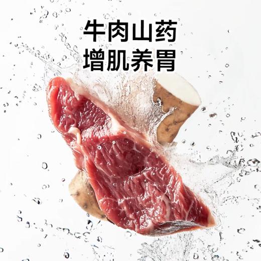 诚实一口 N01 狗粮 山药牛肉配方 2kg/包 商品图1