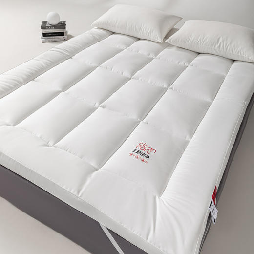 【A类三防床垫】三防床垫防油防水防污加厚酒店秋冬柔软立体褥子软垫 商品图3