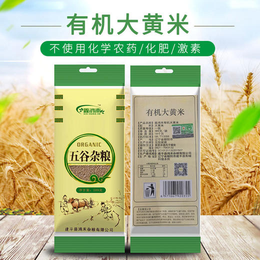 彩虹雨 有机杂粮  有机大黄米389g 满百包邮 商品图5
