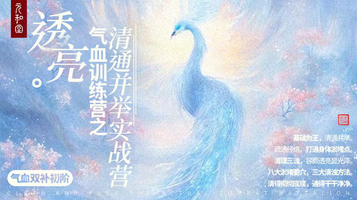 直播专属｜透亮｜气血训练营之清通并举实战营丨初阶｜课程装备｜元和学院 商品图0