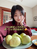 观海听涛长在树上的布丁【黄金奶油芭乐】【红心芭乐】来自福建漳州盐碱地种植  树熟品种 冰淇淋质感 芳香软糯；低糖低卡高VC无负担，适合爱美女士，软糯冰淇淋口感老人小孩都能吃（5斤装） 商品缩略图1