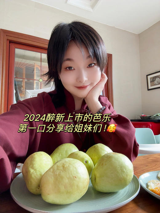 观海听涛长在树上的布丁【黄金奶油芭乐】【红心芭乐】来自福建漳州盐碱地种植  树熟品种 冰淇淋质感 芳香软糯；低糖低卡高VC无负担，适合爱美女士，软糯冰淇淋口感老人小孩都能吃（5斤装） 商品图1