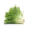 A苦苣（300±30g）苦菊 商品缩略图0