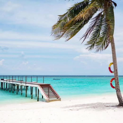 海洋 沙巴美人鱼岛浮潜一日游 商品图2