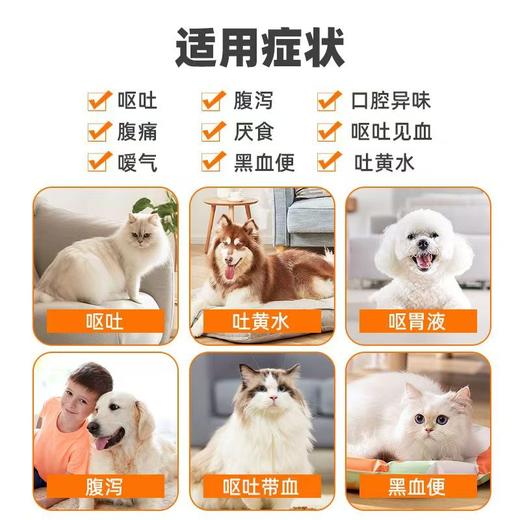 普安特 普西丁 犬猫肠胃炎 止吐 商品图2