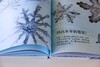 雪花的故事 商品缩略图4