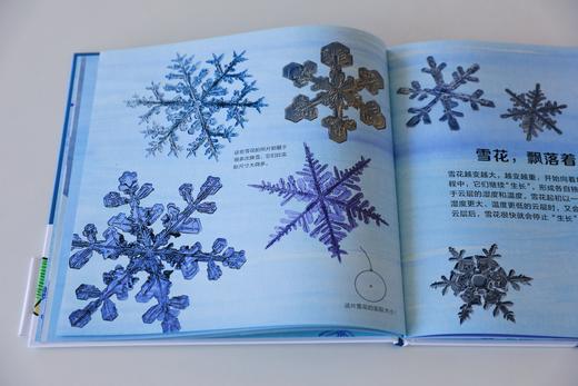 雪花的故事 商品图3