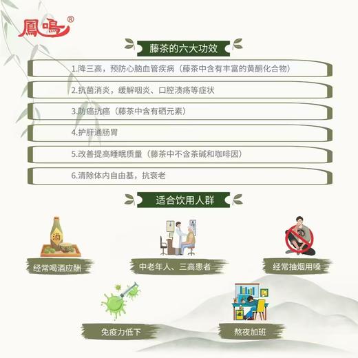来凤藤茶|藤茶创始人向班贵非遗凤鸣藤茶；黄酮含量高，男人的肾宝茶，女人的美容院，富含黄酮、硒、氨基酸，不含茶碱和咖啡因，可以隔夜喝，特别适合中老年，三高人群，经常喝酒应酬，免疫力低下的人群~ 商品图7