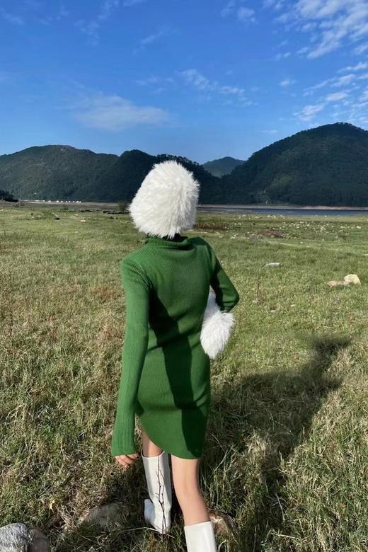 SIA SAYLOR 高领修身打底针织连衣裙 14928 商品图2