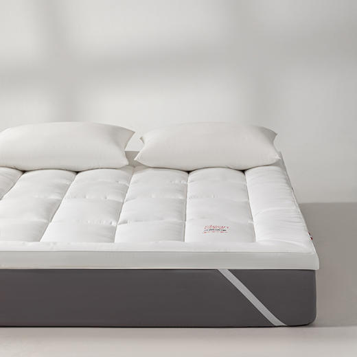 【A类三防床垫】三防床垫防油防水防污加厚酒店秋冬柔软立体褥子软垫 商品图6