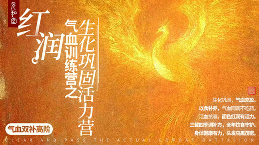 直播专属｜红润｜气血训练营之生化巩固活力营丨高阶｜课程装备｜元和学院 商品图0
