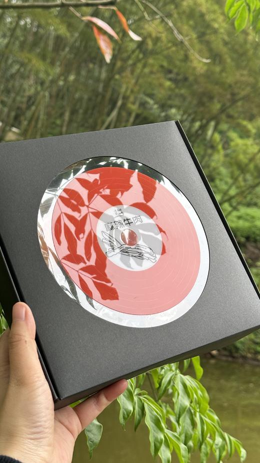 【冷吃零食礼盒】李子坝梁山鸡重庆特产麻辣牛肉/梁山鸡丁/耗儿鱼冷吃CD礼盒送礼装 商品图6