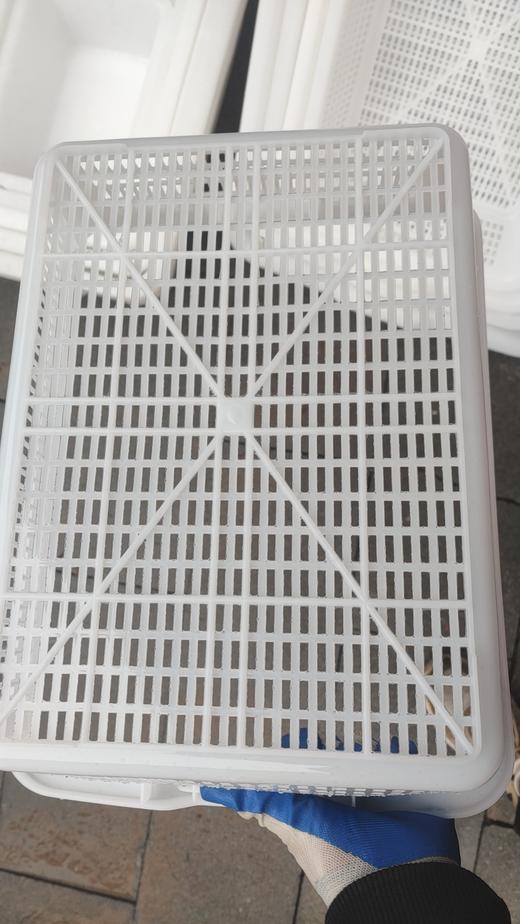 【JL】国产大号文件收纳框43*32*12.5 商品图3