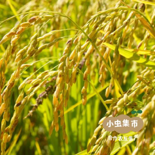 生态叮叮糖 150g/袋*2 | 合作农友生产，产自湖北黄冈，生产者是:李明攀*【公平贸易农人定价】 商品图11