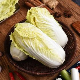 A大娃娃菜（500±50g）