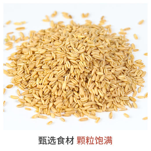 「9.9包邮！买2送1」燕麦米500克装 内蒙古胚芽煮粥五谷杂粮粗粮贴牌粮油米面 商品图2