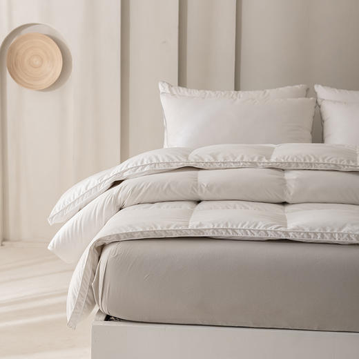 冬季保暖舒适 鹅毛被 多规格可选 商品图0