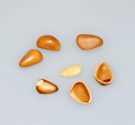 新疆疆优硕果手剥开口松子250g*2袋 商品图1