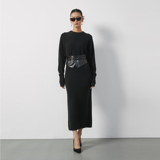 东黎 • 山羊绒女士秋冬连衣裙 3504 商品图3