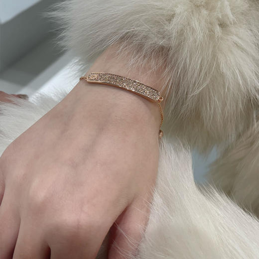 【品牌授权】【爆款现货】COACH 蔻驰奥莱女士经典时尚项链 耳钉 手链 手镯 满钻 C字 商品图10