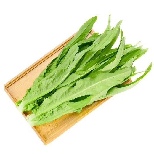 A油麦菜（300±50g）莜麦菜 商品图0