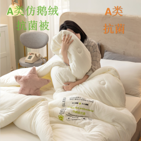 A类仿鹅绒抗菌冬被 蓬松柔软保暖不压身被芯