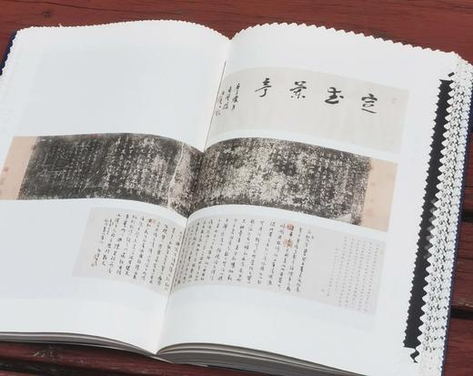 《茶书乐》，16开，平装，楼怀文著，浙江人民美术出版社2022年一版一印，定价180，售价138元。 商品图11