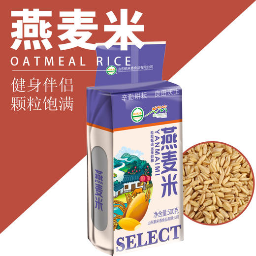 「9.9包邮！买2送1」燕麦米500克装 内蒙古胚芽煮粥五谷杂粮粗粮贴牌粮油米面 商品图0