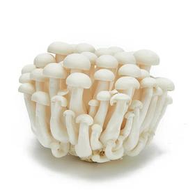 A白玉菇（散装约400g）