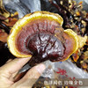 【西藏野生灵芝】西藏灵芝波密地区野生灵芝100g 商品缩略图2
