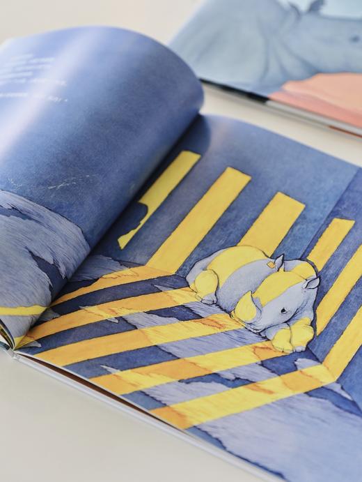 苏丹的犀角 商品图4