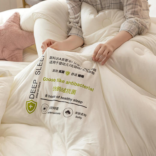 A类仿鹅绒抗菌冬被 蓬松柔软保暖不压身被芯 商品图3